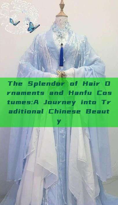 The Splendor of Hair Ornaments and Hanfu Costumes:A Journey into Traditional Chinese Beauty
