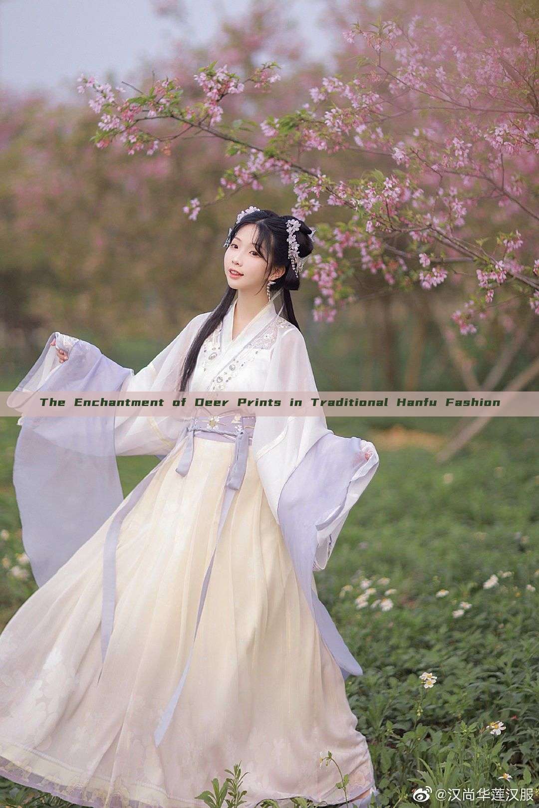 The Enchantment of Deer Prints in Traditional Hanfu Fashion The Enchantment of Deer Prints in Traditional Hanfu Fashion