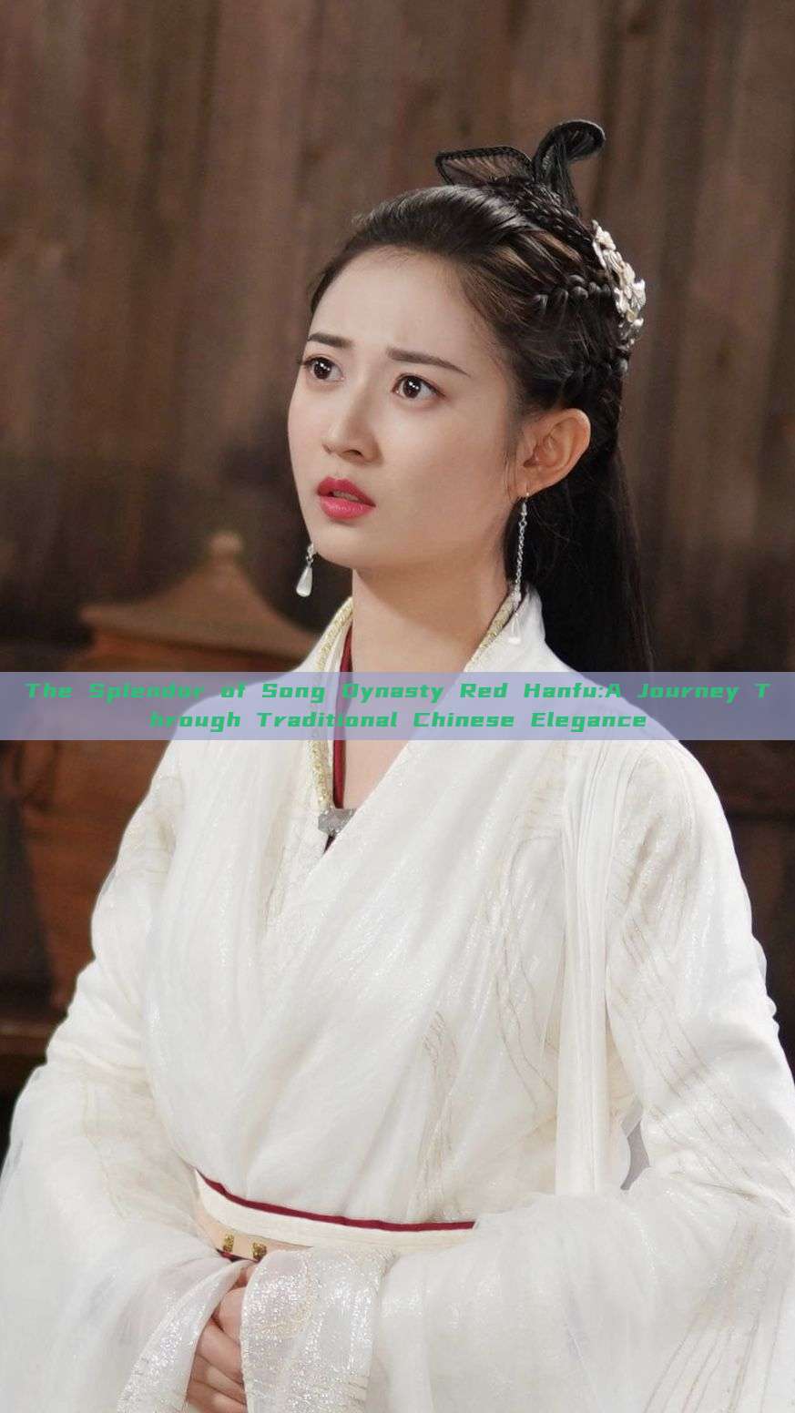 The Splendor of Song Dynasty Red Hanfu:A Journey Through Traditional Chinese Elegance The Splendor of Song Dynasty Red Hanfu:A Journey Through Traditional Chinese Elegance