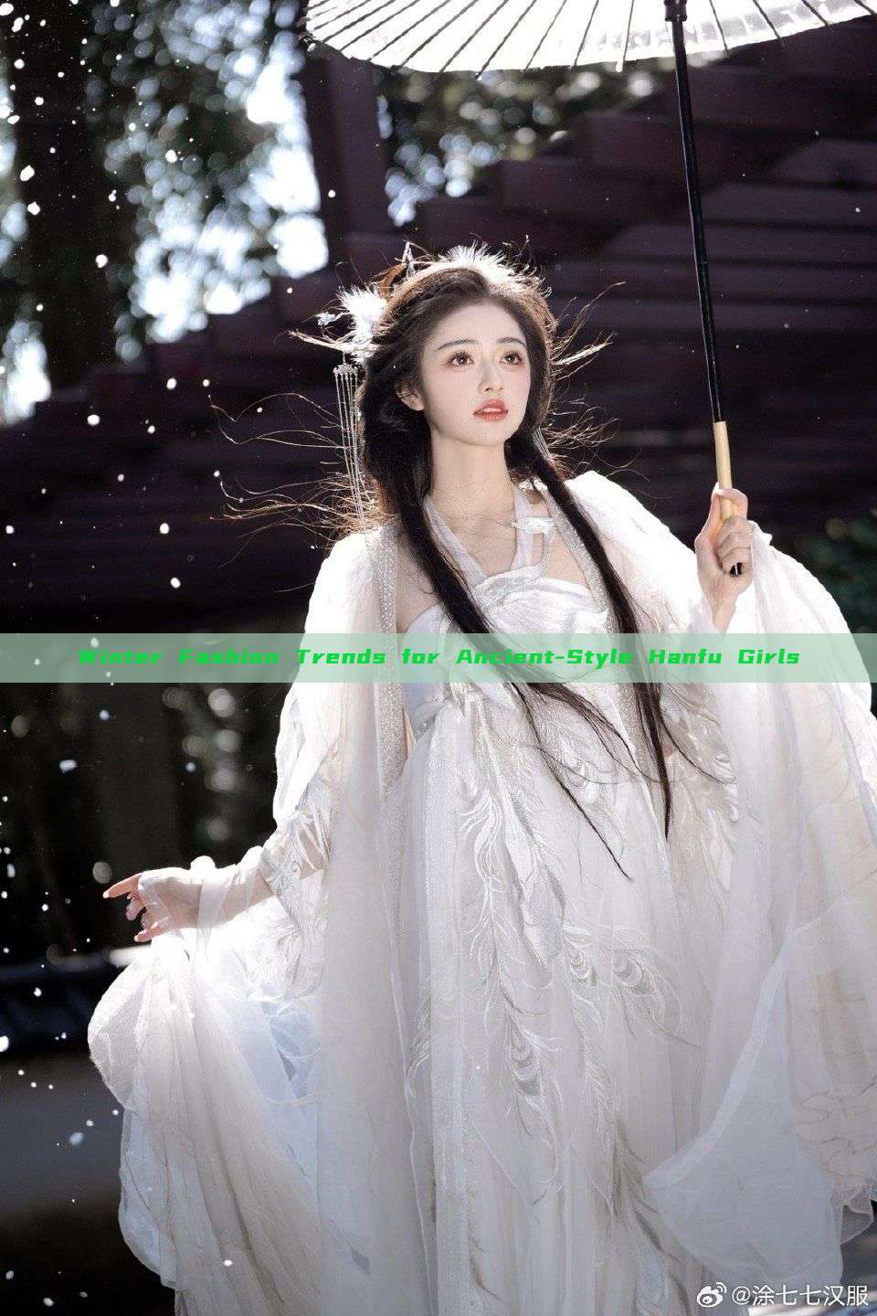Winter Fashion Trends for Ancient-Style Hanfu Girls Winter Fashion Trends for Ancient-Style Hanfu Girls
