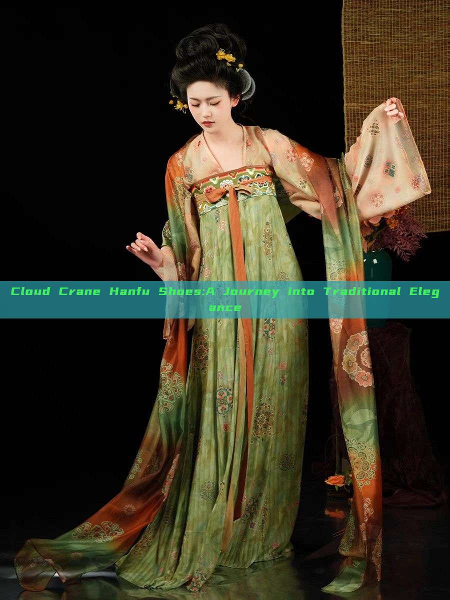 Cloud Crane Hanfu Shoes:A Journey into Traditional Elegance Cloud Crane Hanfu Shoes:A Journey into Traditional Elegance