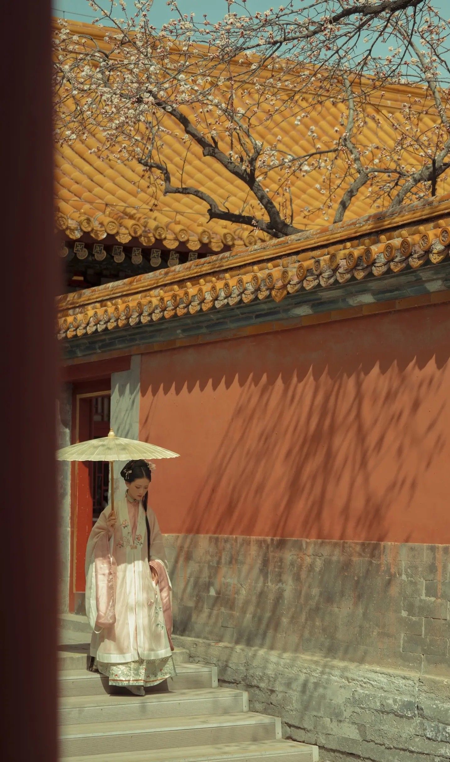The Rise of Short-Style Cheongsam with Shawl:A Fashion Statement in Modern Times