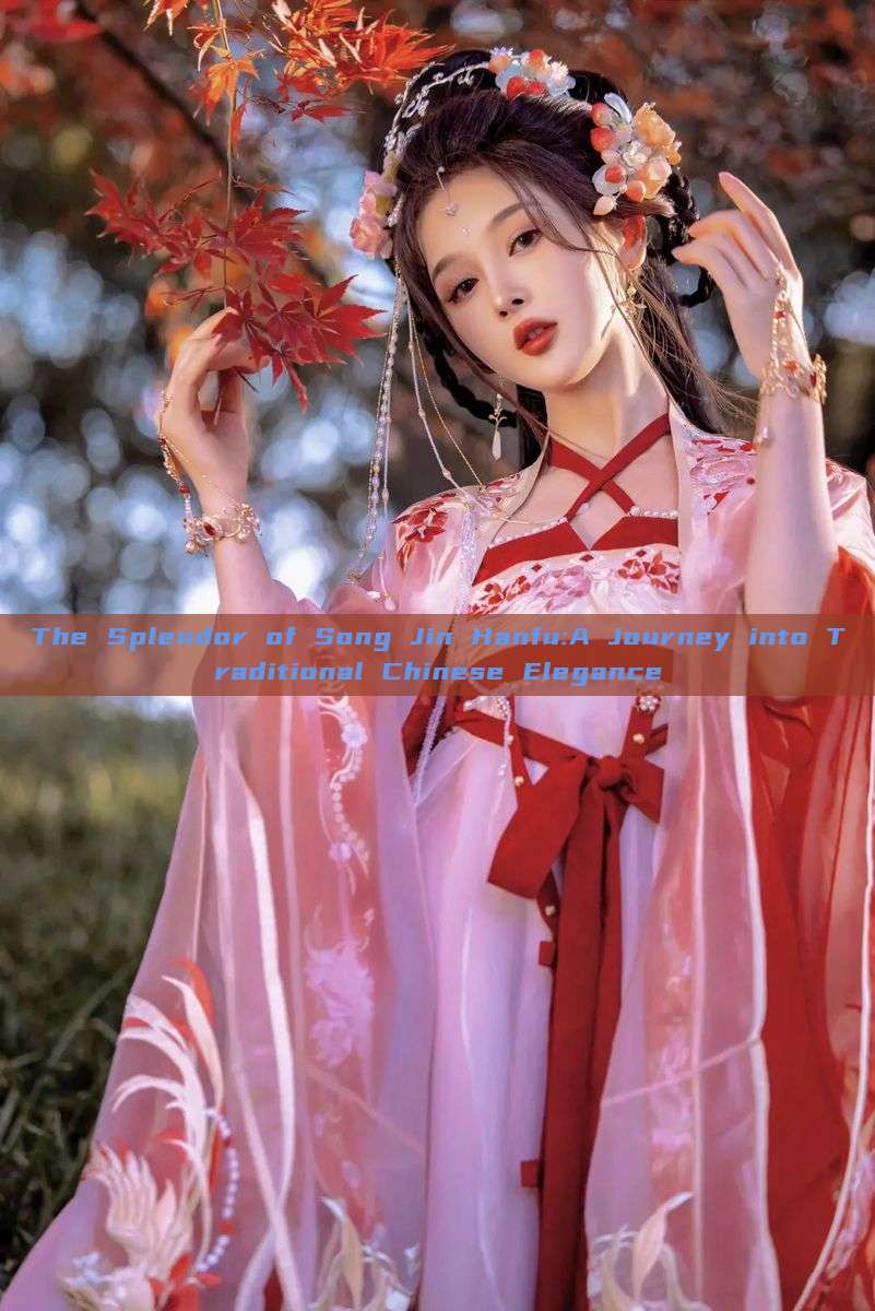 The Splendor of Song Jin Hanfu:A Journey into Traditional Chinese Elegance The Splendor of Song Jin Hanfu:A Journey into Traditional Chinese Elegance