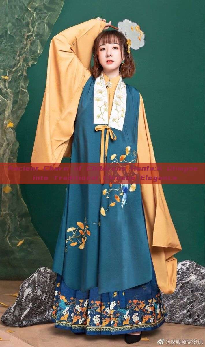 Ancient Charm of Childrens Hanfu:A Glimpse into Traditional Chinese Elegance