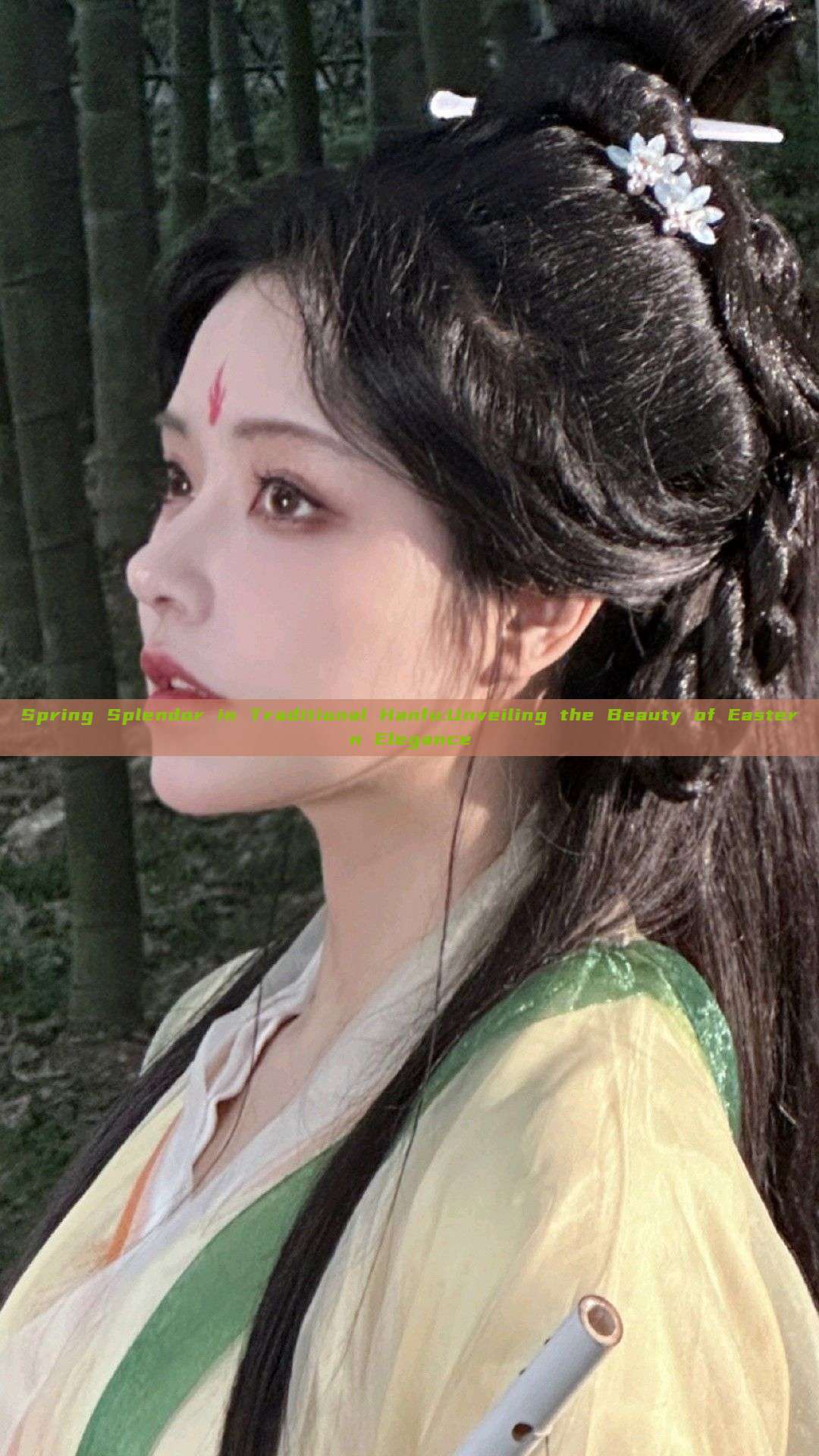Spring Splendor in Traditional Hanfu:Unveiling the Beauty of Eastern Elegance
