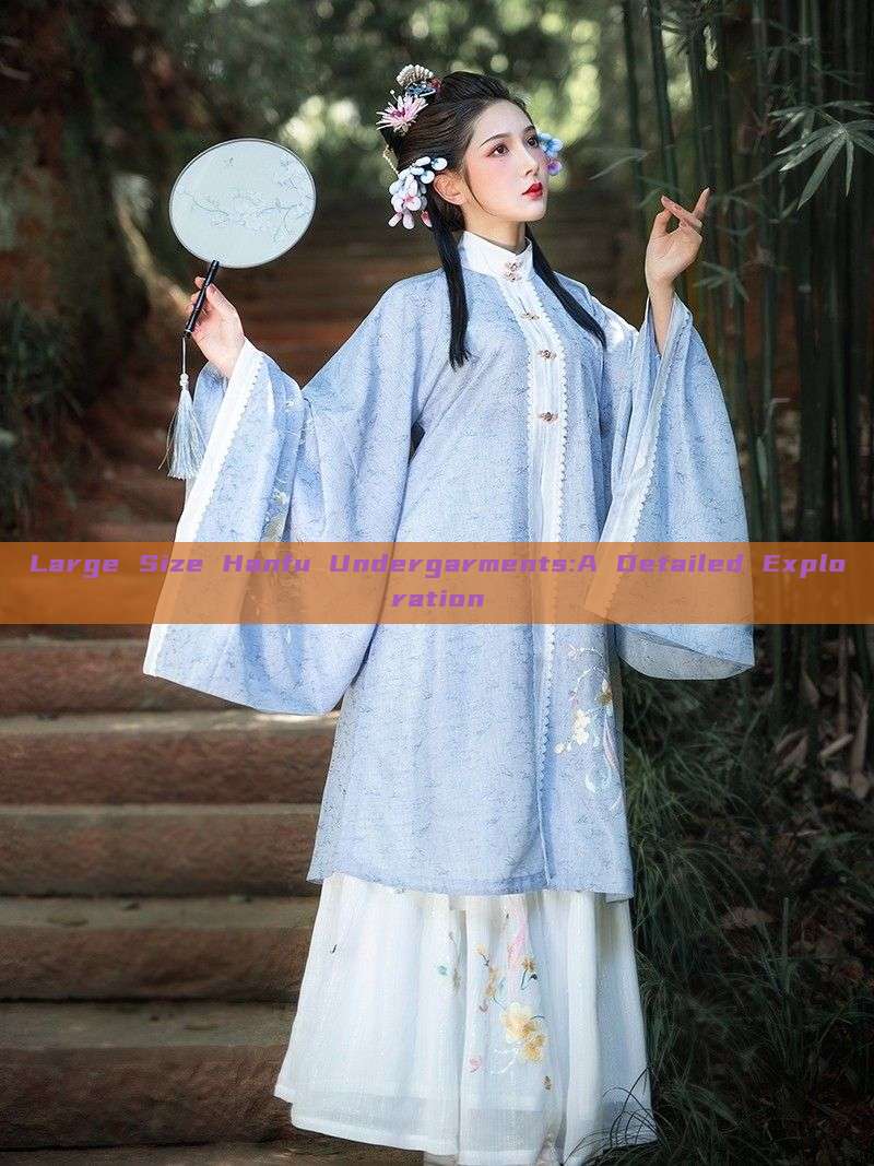 Large Size Hanfu Undergarments:A Detailed Exploration