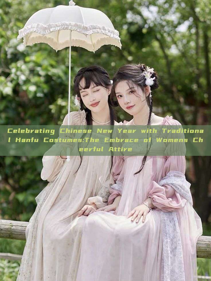 Celebrating Chinese New Year with Traditional Hanfu Costumes:The Embrace of Womens Cheerful Attire