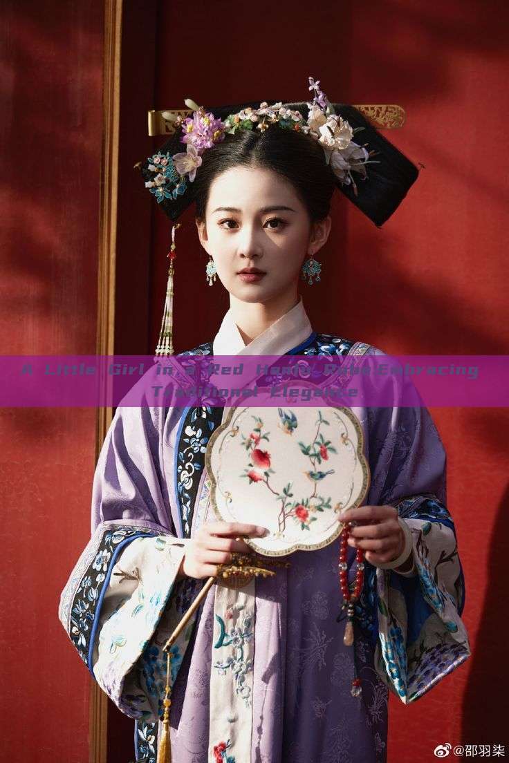 A Little Girl in a Red Hanfu Robe:Embracing Traditional Elegance A Little Girl in a Red Hanfu Robe:Embracing Traditional Elegance