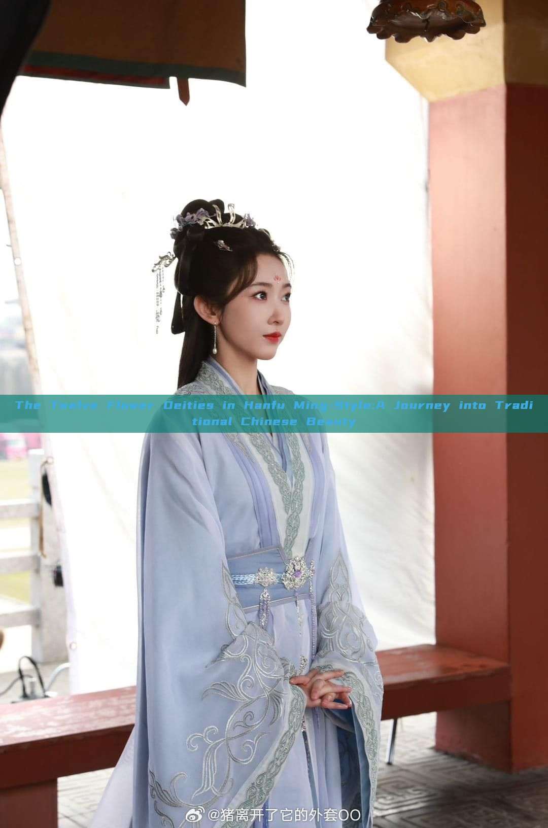 The Twelve Flower Deities in Hanfu Ming-Style:A Journey into Traditional Chinese Beauty The Twelve Flower Deities in Hanfu Ming-Style:A Journey into Traditional Chinese Beauty