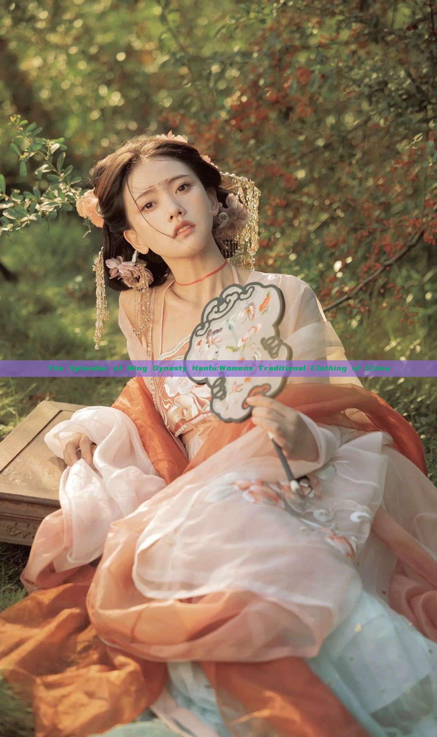 The Splendor of Ming Dynasty Hanfu:Womens Traditional Clothing of China The Splendor of Ming Dynasty Hanfu:Womens Traditional Clothing of China