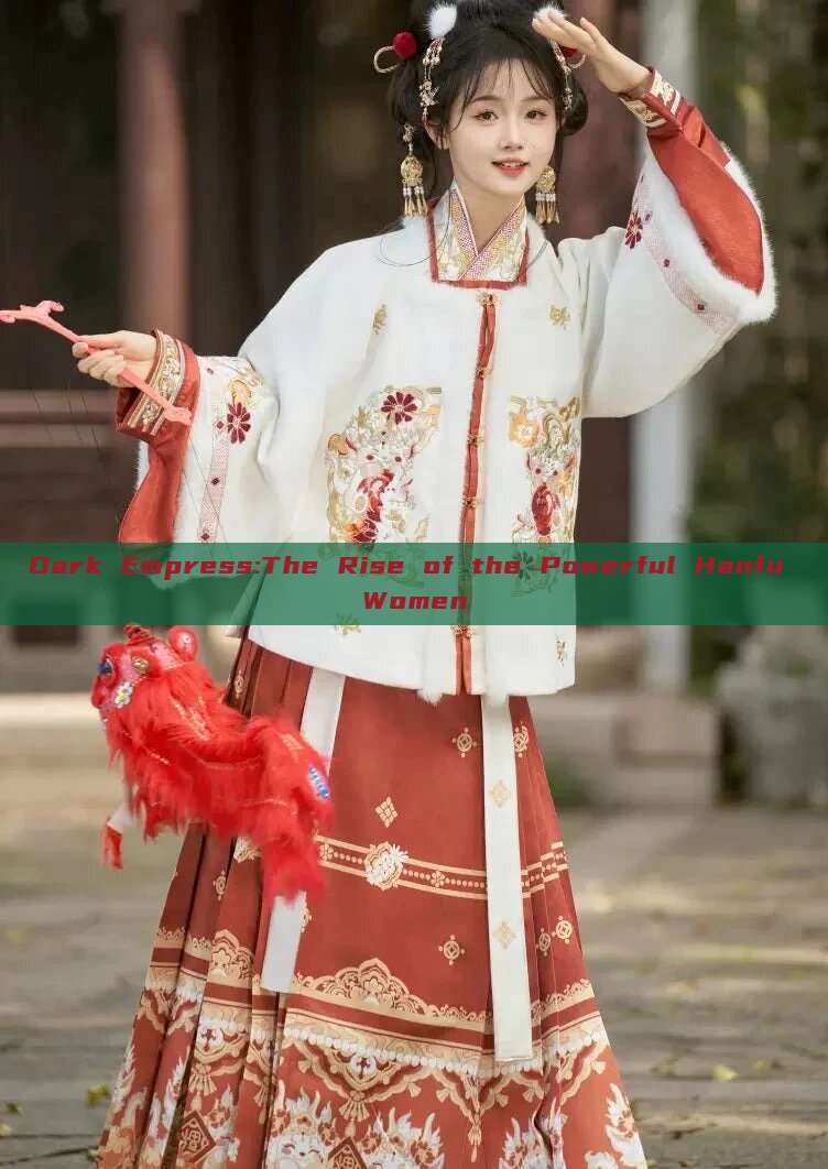 Dark Empress:The Rise of the Powerful Hanfu Women