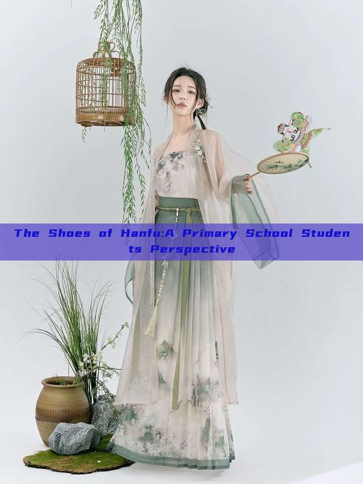 The Shoes of Hanfu:A Primary School Students Perspective