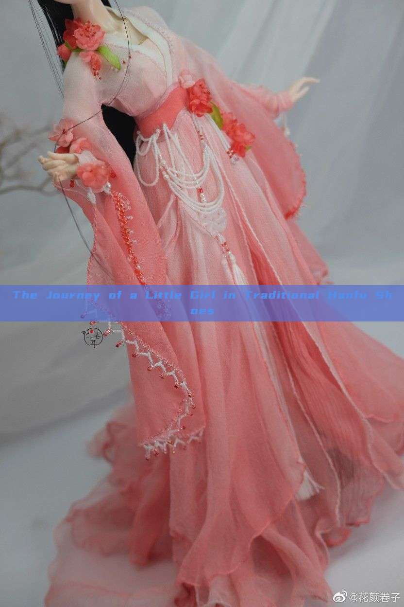 The Journey of a Little Girl in Traditional Hanfu Shoes The Journey of a Little Girl in Traditional Hanfu Shoes