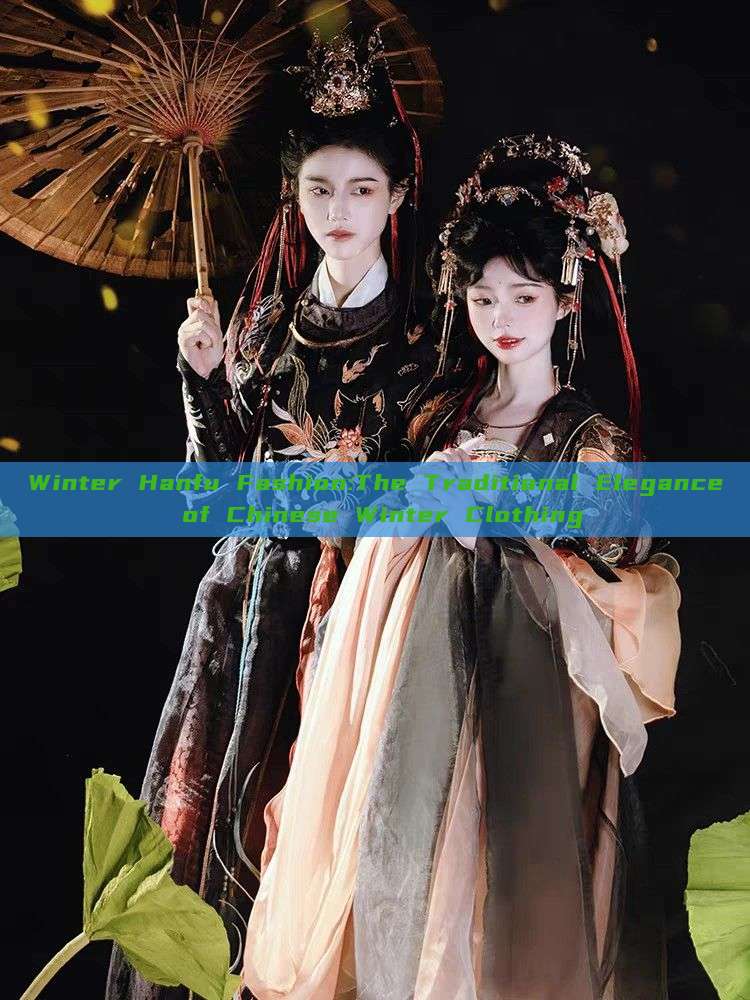 Winter Hanfu Fashion:The Traditional Elegance of Chinese Winter Clothing