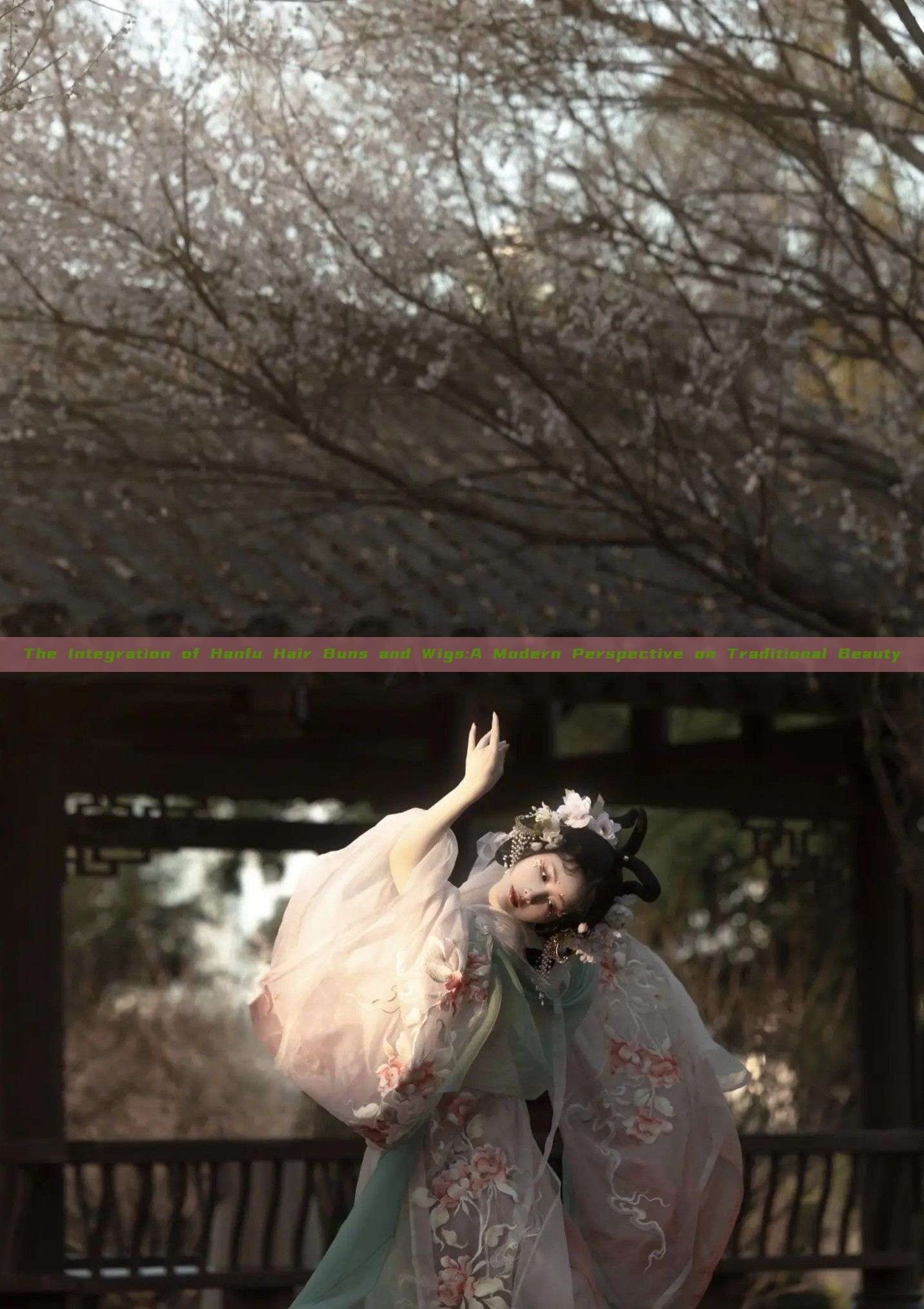 The Integration of Hanfu Hair Buns and Wigs:A Modern Perspective on Traditional Beauty