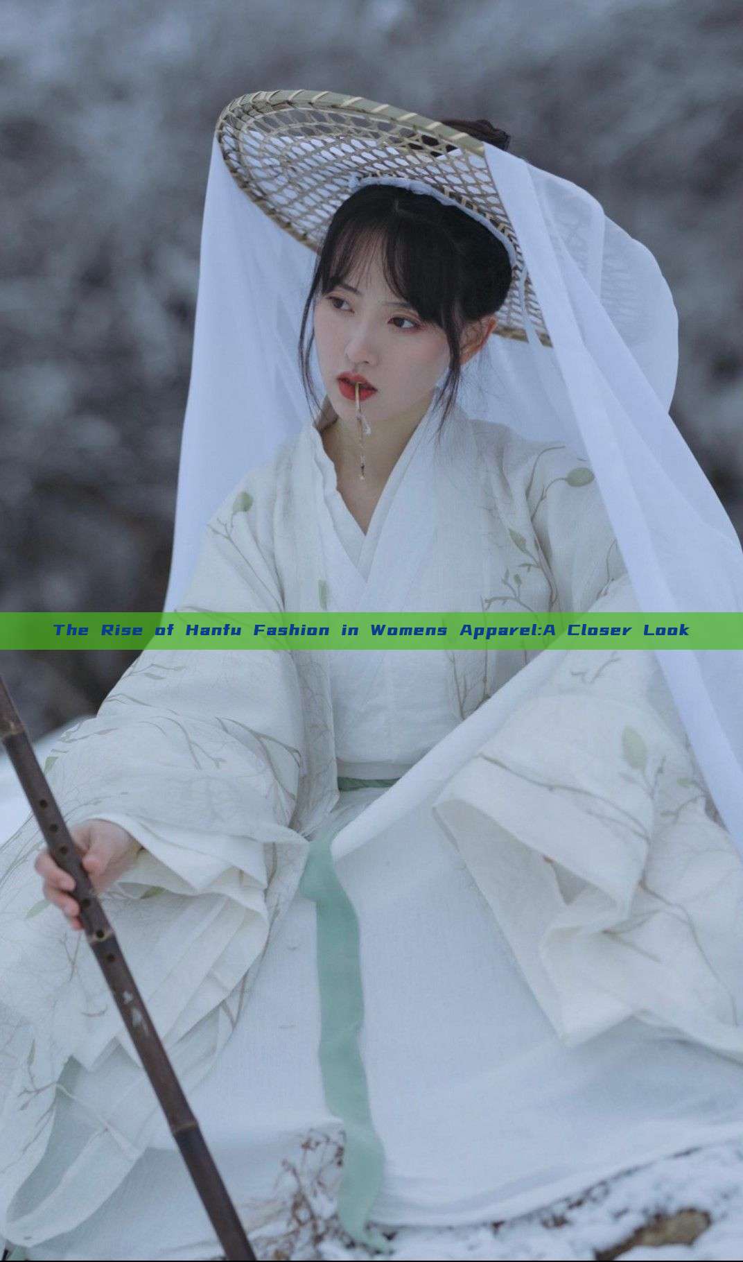 The Rise of Hanfu Fashion in Womens Apparel:A Closer Look