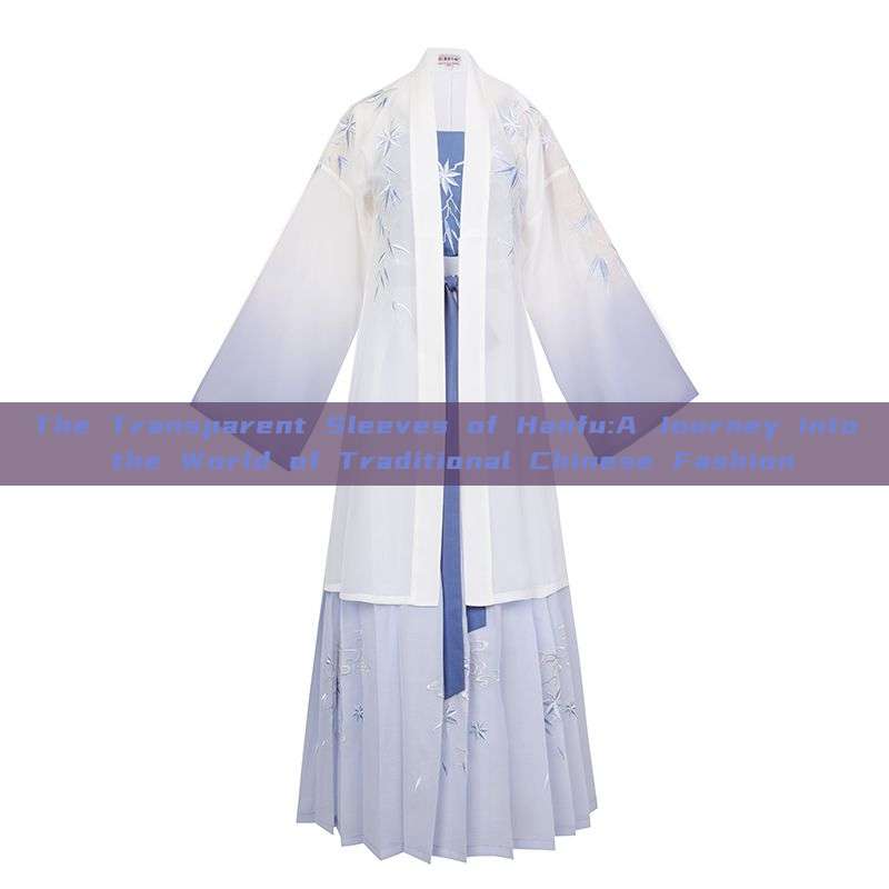 The Transparent Sleeves of Hanfu:A Journey into the World of Traditional Chinese Fashion The Transparent Sleeves of Hanfu:A Journey into the World of Traditional Chinese Fashion
