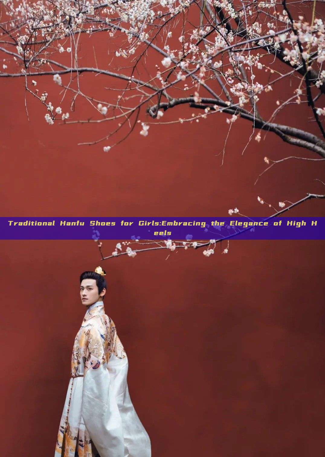 Traditional Hanfu Shoes for Girls:Embracing the Elegance of High Heels Traditional Hanfu Shoes for Girls:Embracing the Elegance of High Heels