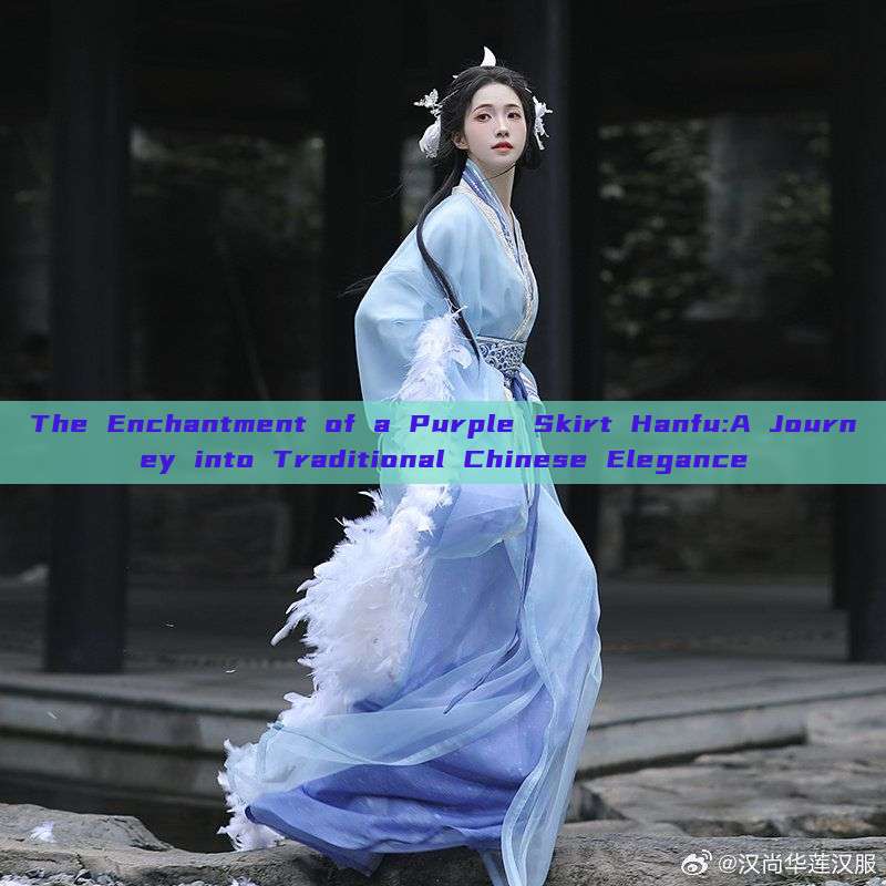 The Enchantment of a Purple Skirt Hanfu:A Journey into Traditional Chinese Elegance The Enchantment of a Purple Skirt Hanfu:A Journey into Traditional Chinese Elegance