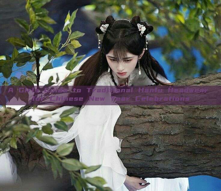 A Girls Guide to Traditional Hanfu Headwear for Chinese New Year Celebrations A Girls Guide to Traditional Hanfu Headwear for Chinese New Year Celebrations