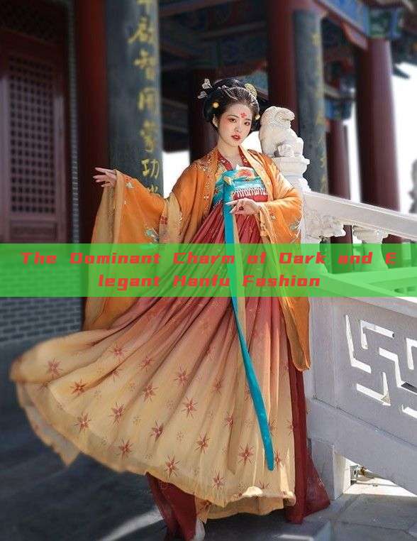The Dominant Charm of Dark and Elegant Hanfu Fashion The Dominant Charm of Dark and Elegant Hanfu Fashion