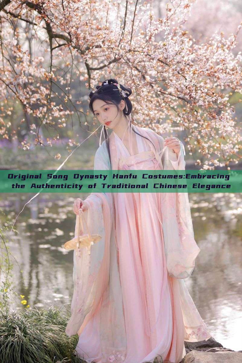 Original Song Dynasty Hanfu Costumes:Embracing the Authenticity of Traditional Chinese Elegance