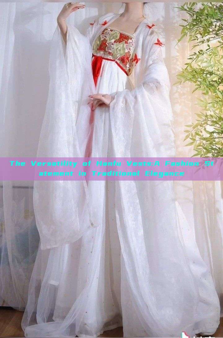 The Versatility of Hanfu Vests:A Fashion Statement in Traditional Elegance