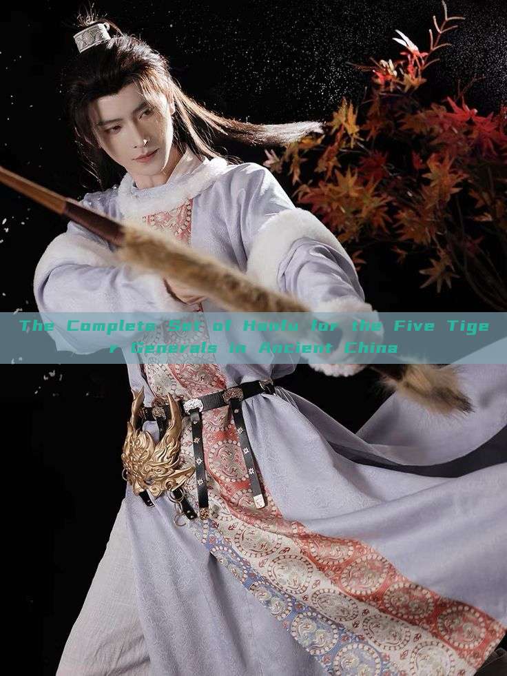 The Complete Set of Hanfu for the Five Tiger Generals in Ancient China The Complete Set of Hanfu for the Five Tiger Generals in Ancient China