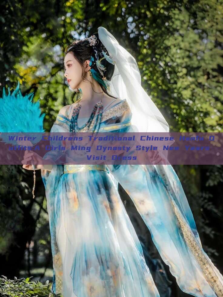Winter Childrens Traditional Chinese Hanfu Outfits:A Girls Ming Dynasty Style New Years Visit Dress Winter Childrens Traditional Chinese Hanfu Outfits:A Girls Ming Dynasty Style New Years Visit Dress