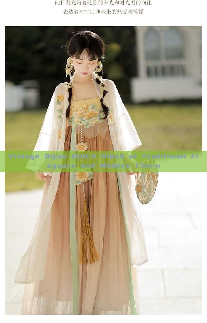 Vintage Qipao Belt:A Blend of Traditional Elegance and Modern Charm Vintage Qipao Belt:A Blend of Traditional Elegance and Modern Charm