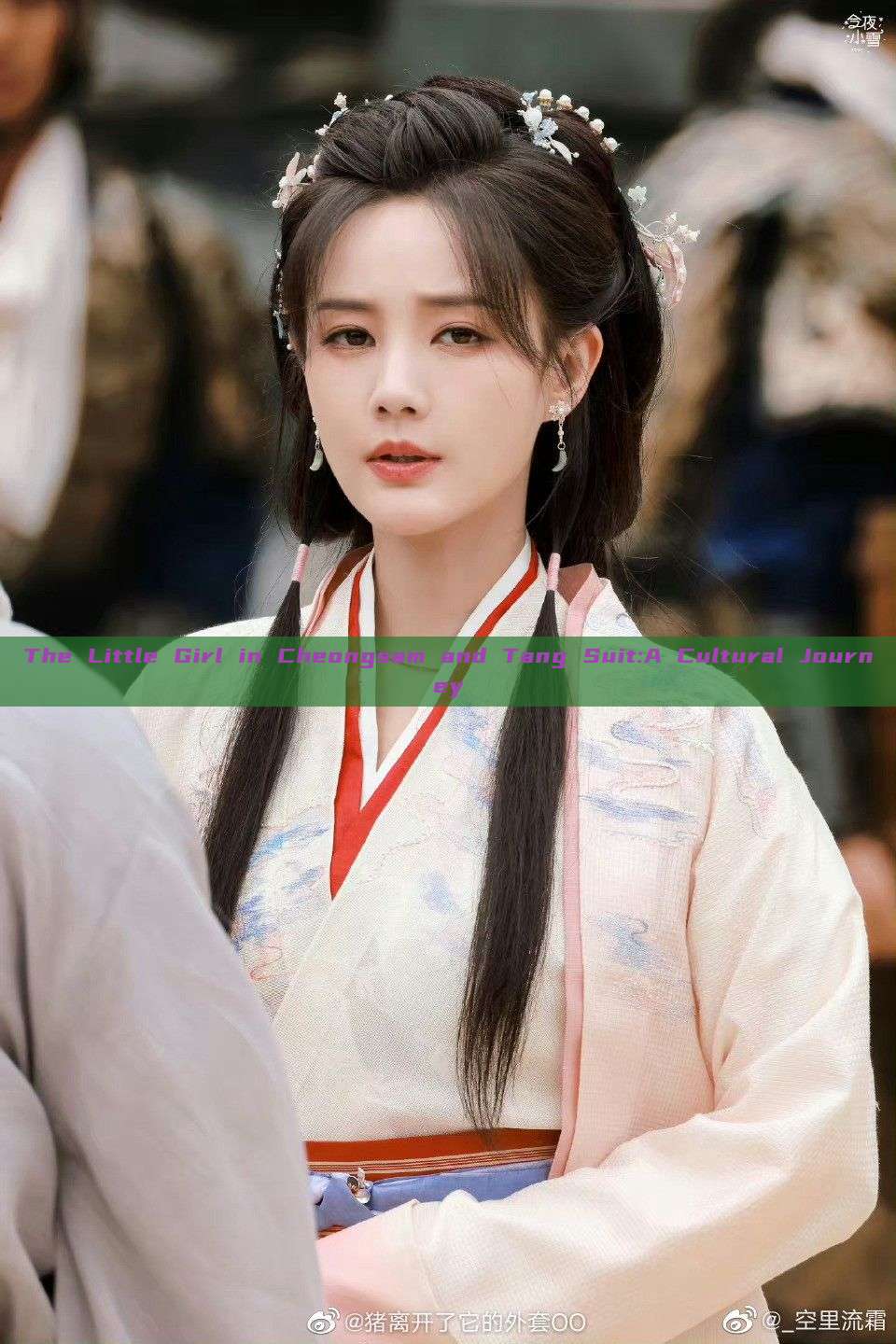 The Little Girl in Cheongsam and Tang Suit:A Cultural Journey The Little Girl in Cheongsam and Tang Suit:A Cultural Journey