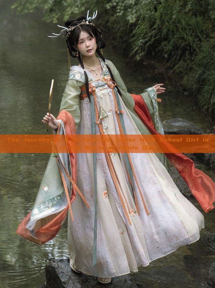 The Journey of a 14-Year-old Junior High School Girl into the World of Hanfu 汉服)