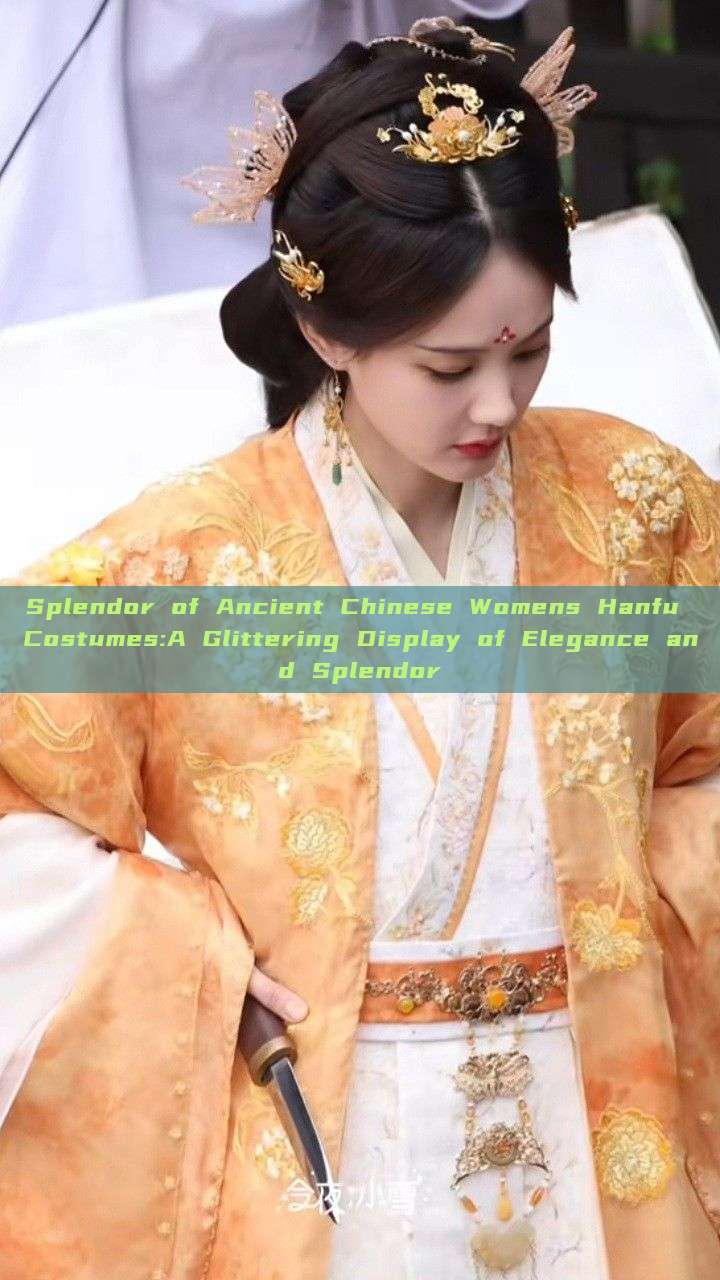 Splendor of Ancient Chinese Womens Hanfu Costumes:A Glittering Display of Elegance and Splendor Splendor of Ancient Chinese Womens Hanfu Costumes:A Glittering Display of Elegance and Splendor
