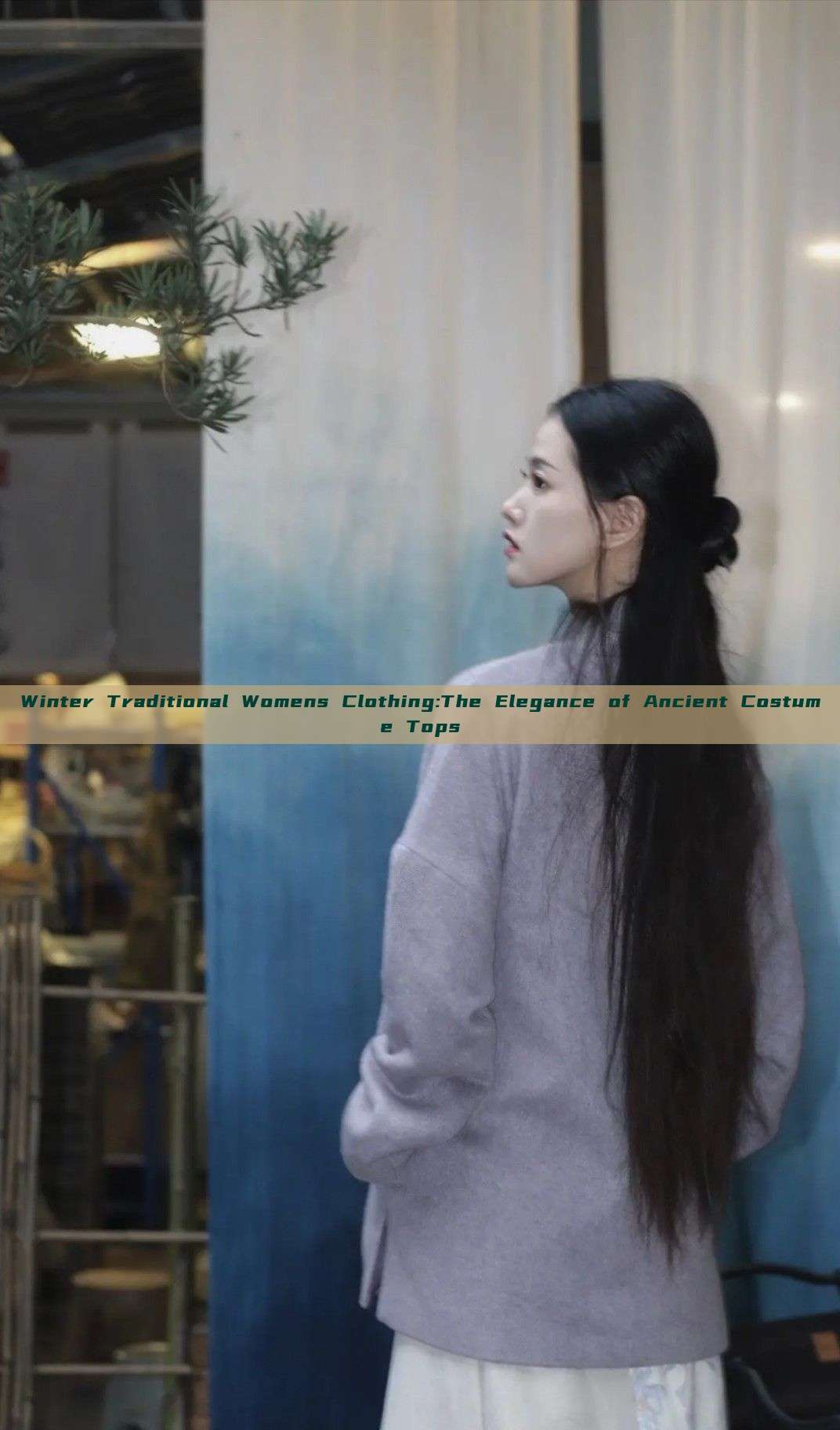 Winter Traditional Womens Clothing:The Elegance of Ancient Costume Tops Winter Traditional Womens Clothing:The Elegance of Ancient Costume Tops