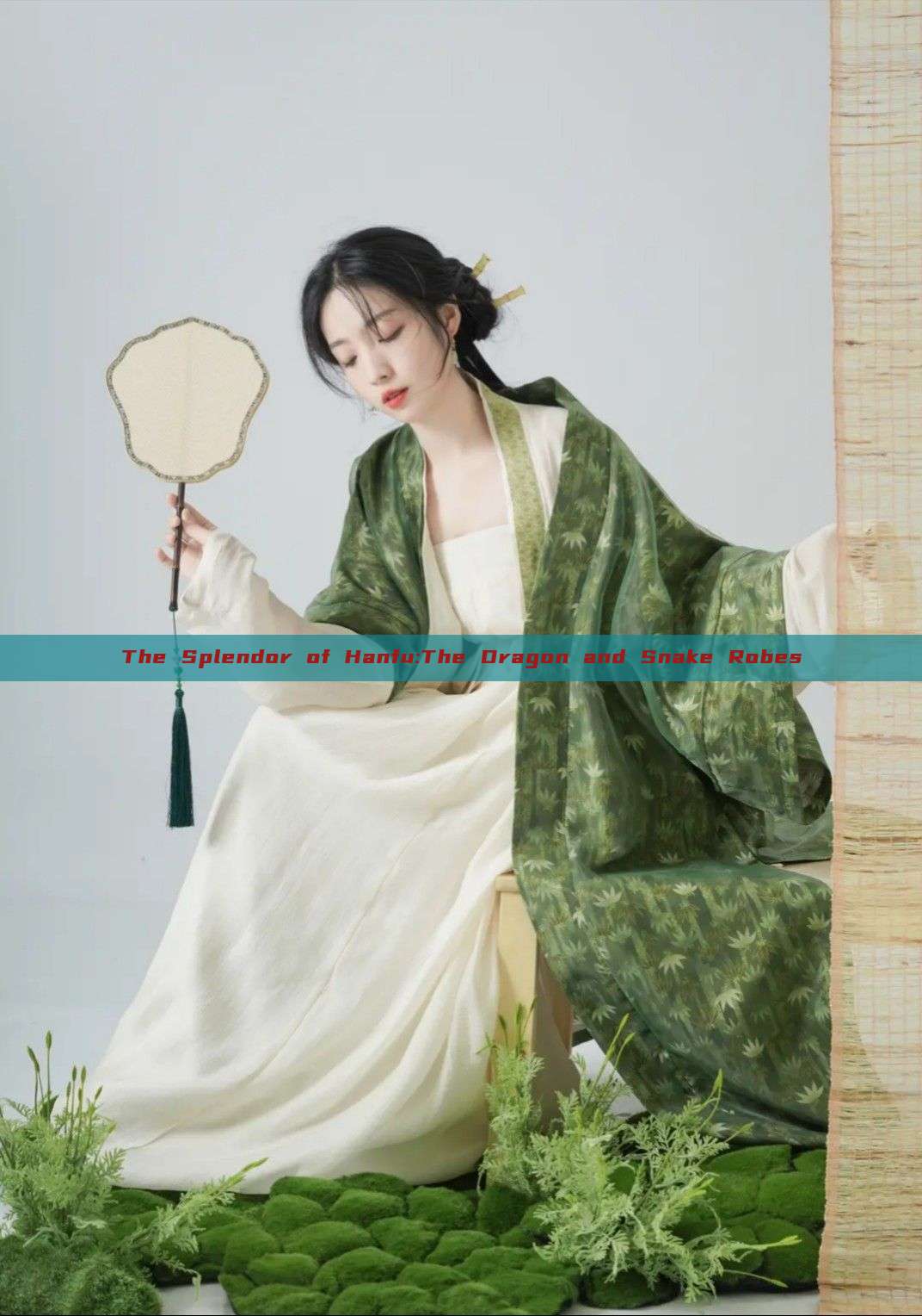 The Splendor of Hanfu:The Dragon and Snake Robes The Splendor of Hanfu:The Dragon and Snake Robes