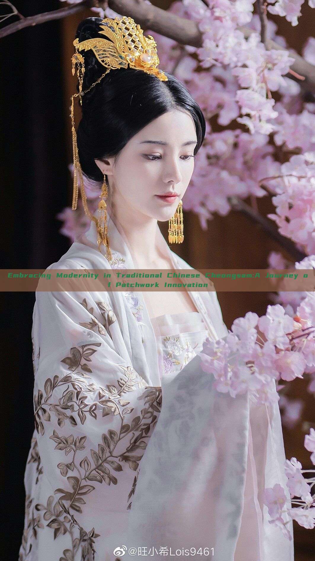 Embracing Modernity in Traditional Chinese Cheongsam:A Journey of Patchwork Innovation Embracing Modernity in Traditional Chinese Cheongsam:A Journey of Patchwork Innovation