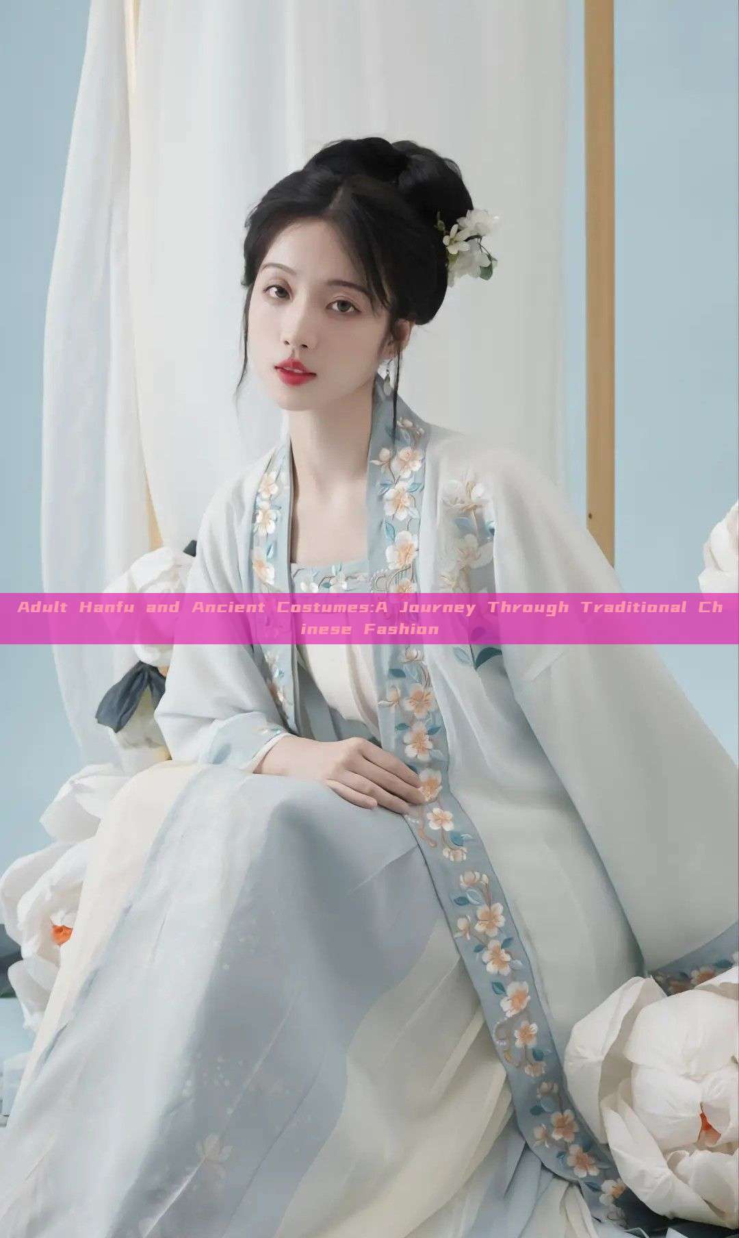 Adult Hanfu and Ancient Costumes:A Journey Through Traditional Chinese Fashion Adult Hanfu and Ancient Costumes:A Journey Through Traditional Chinese Fashion