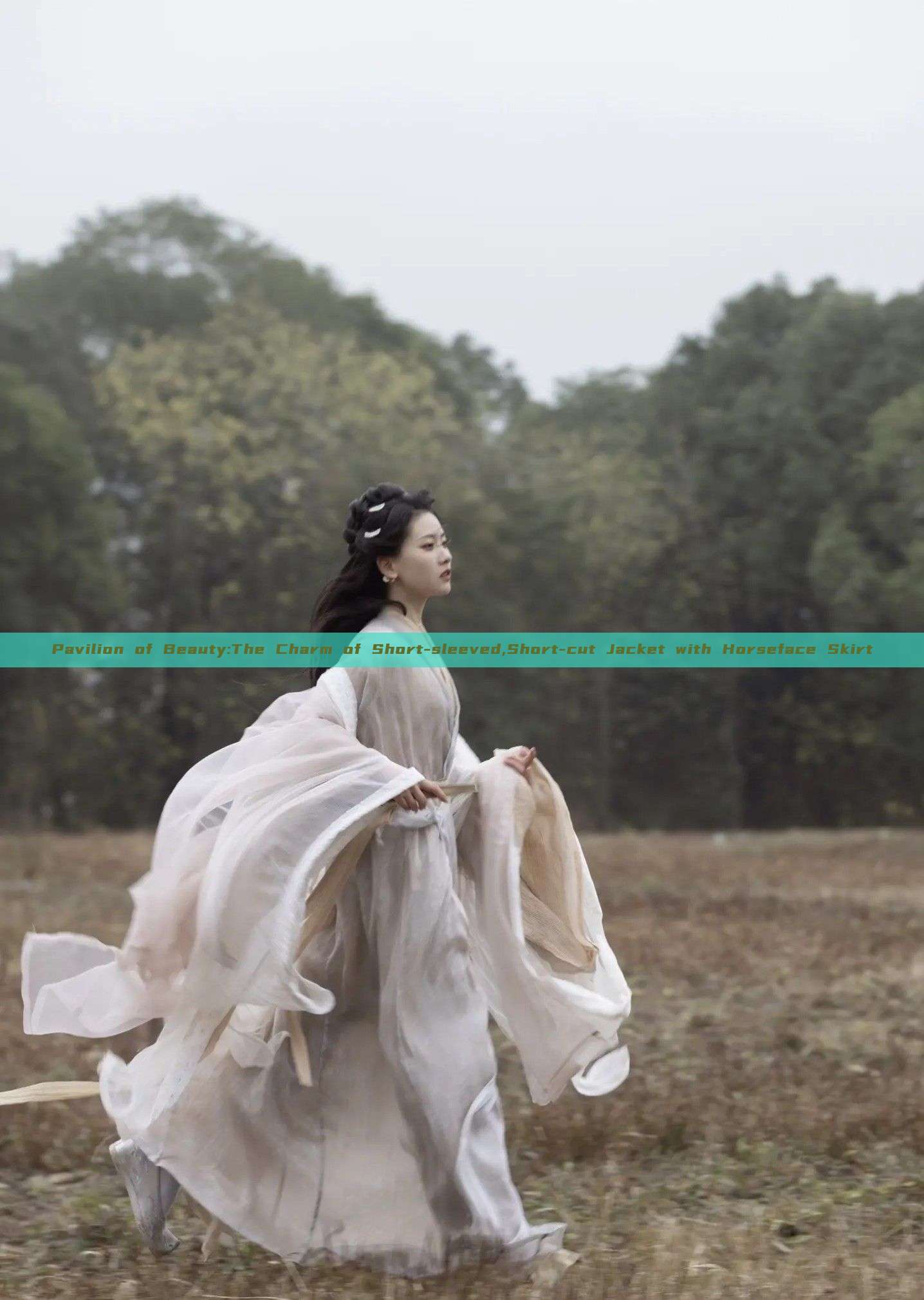 Pavilion of Beauty:The Charm of Short-sleeved,Short-cut Jacket with Horseface Skirt