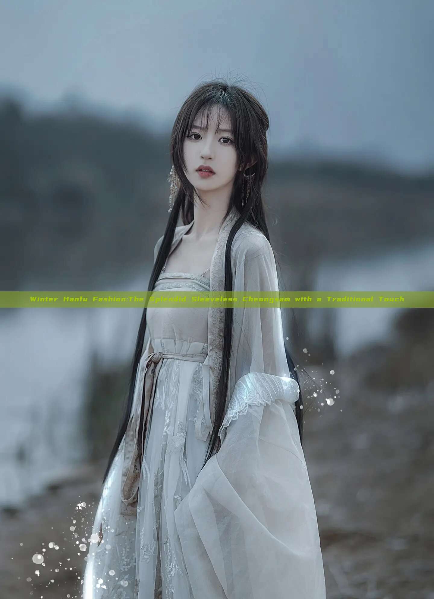 Winter Hanfu Fashion:The Splendid Sleeveless Cheongsam with a Traditional Touch Winter Hanfu Fashion:The Splendid Sleeveless Cheongsam with a Traditional Touch