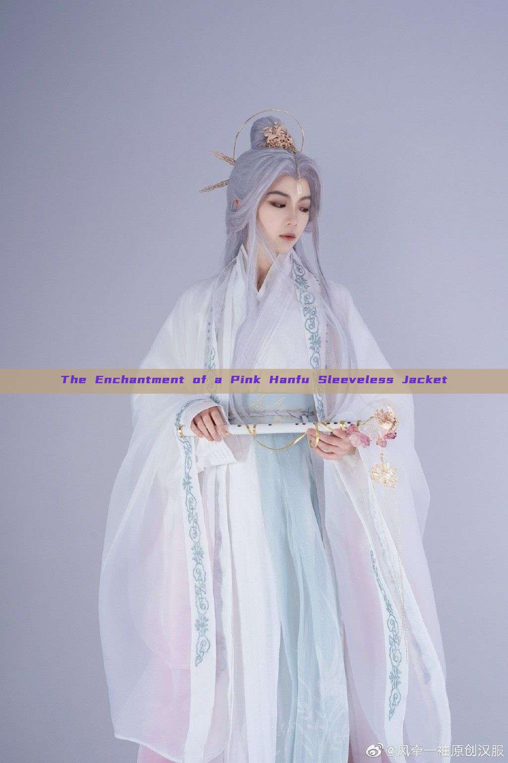 The Enchantment of a Pink Hanfu Sleeveless Jacket The Enchantment of a Pink Hanfu Sleeveless Jacket