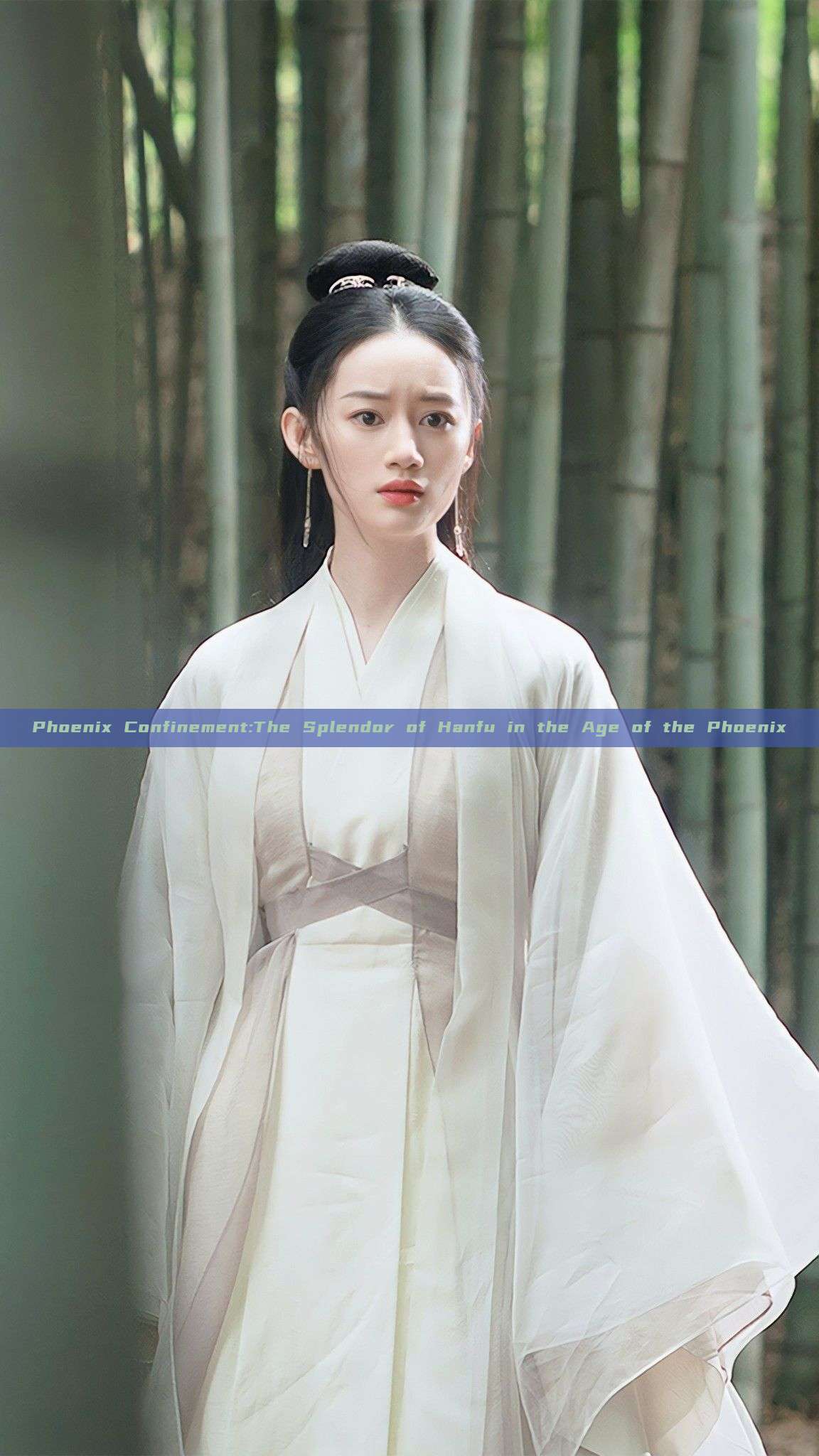 Phoenix Confinement:The Splendor of Hanfu in the Age of the Phoenix Phoenix Confinement:The Splendor of Hanfu in the Age of the Phoenix