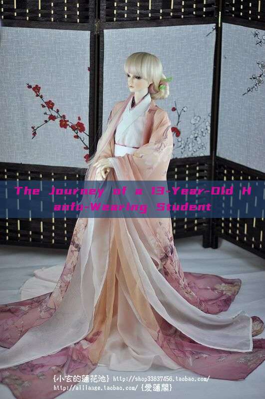 The Journey of a 13-Year-Old Hanfu-Wearing Student The Journey of a 13-Year-Old Hanfu-Wearing Student