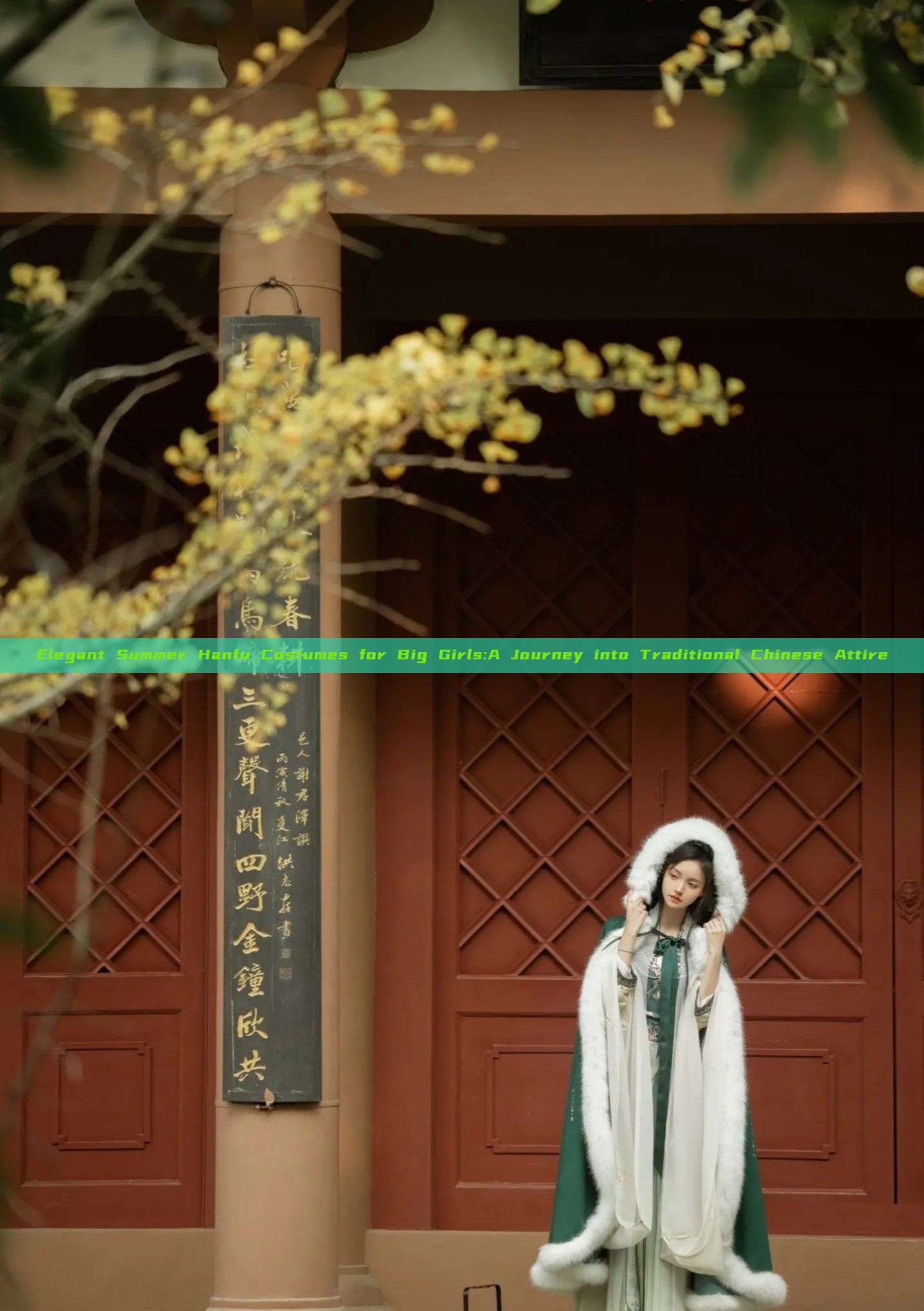 Elegant Summer Hanfu Costumes for Big Girls:A Journey into Traditional Chinese Attire Elegant Summer Hanfu Costumes for Big Girls:A Journey into Traditional Chinese Attire