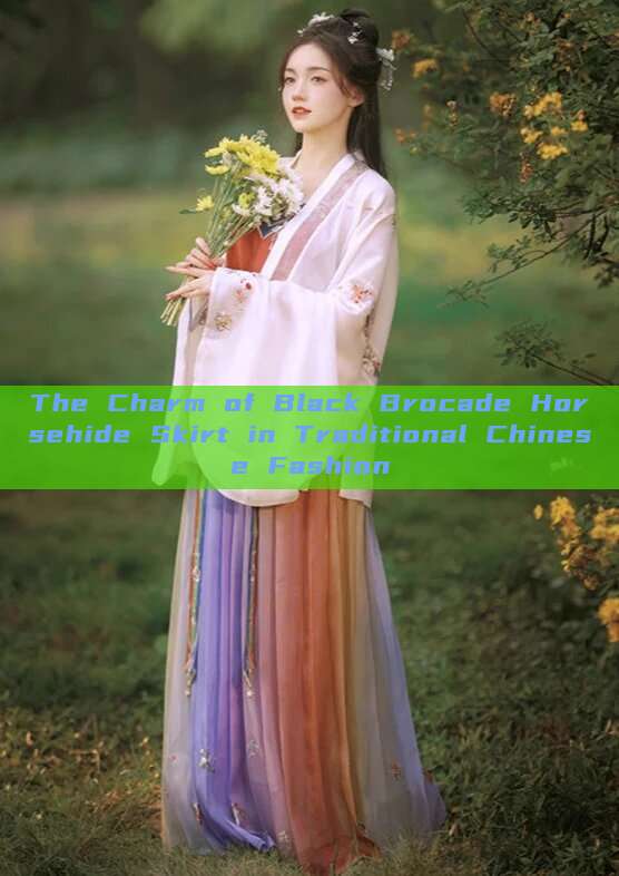The Charm of Black Brocade Horsehide Skirt in Traditional Chinese Fashion The Charm of Black Brocade Horsehide Skirt in Traditional Chinese Fashion