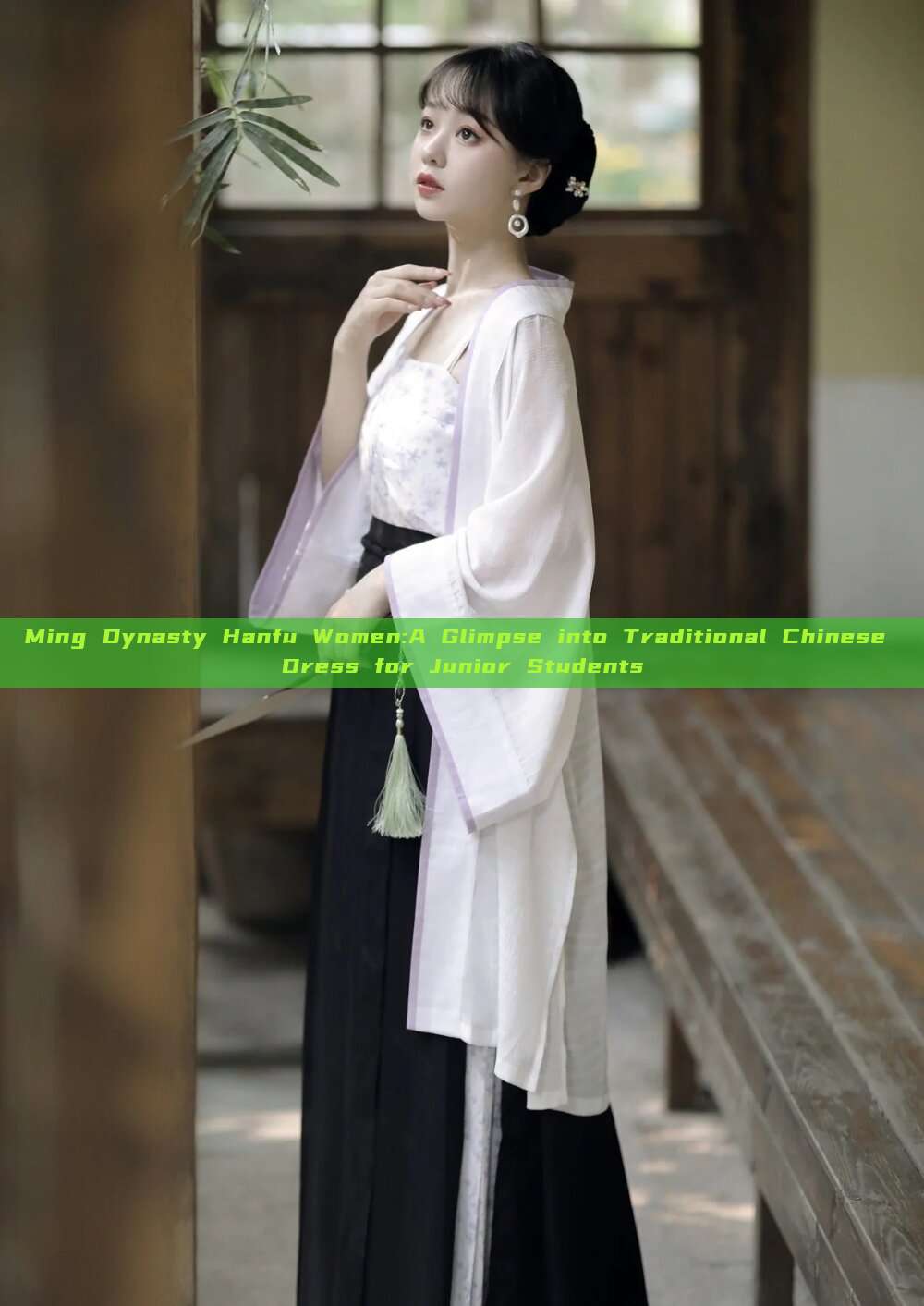 Ming Dynasty Hanfu Women:A Glimpse into Traditional Chinese Dress for Junior Students Ming Dynasty Hanfu Women:A Glimpse into Traditional Chinese Dress for Junior Students