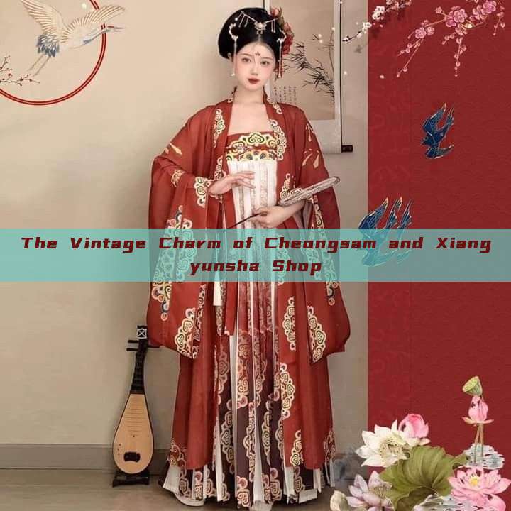 The Vintage Charm of Cheongsam and Xiangyunsha Shop The Vintage Charm of Cheongsam and Xiangyunsha Shop