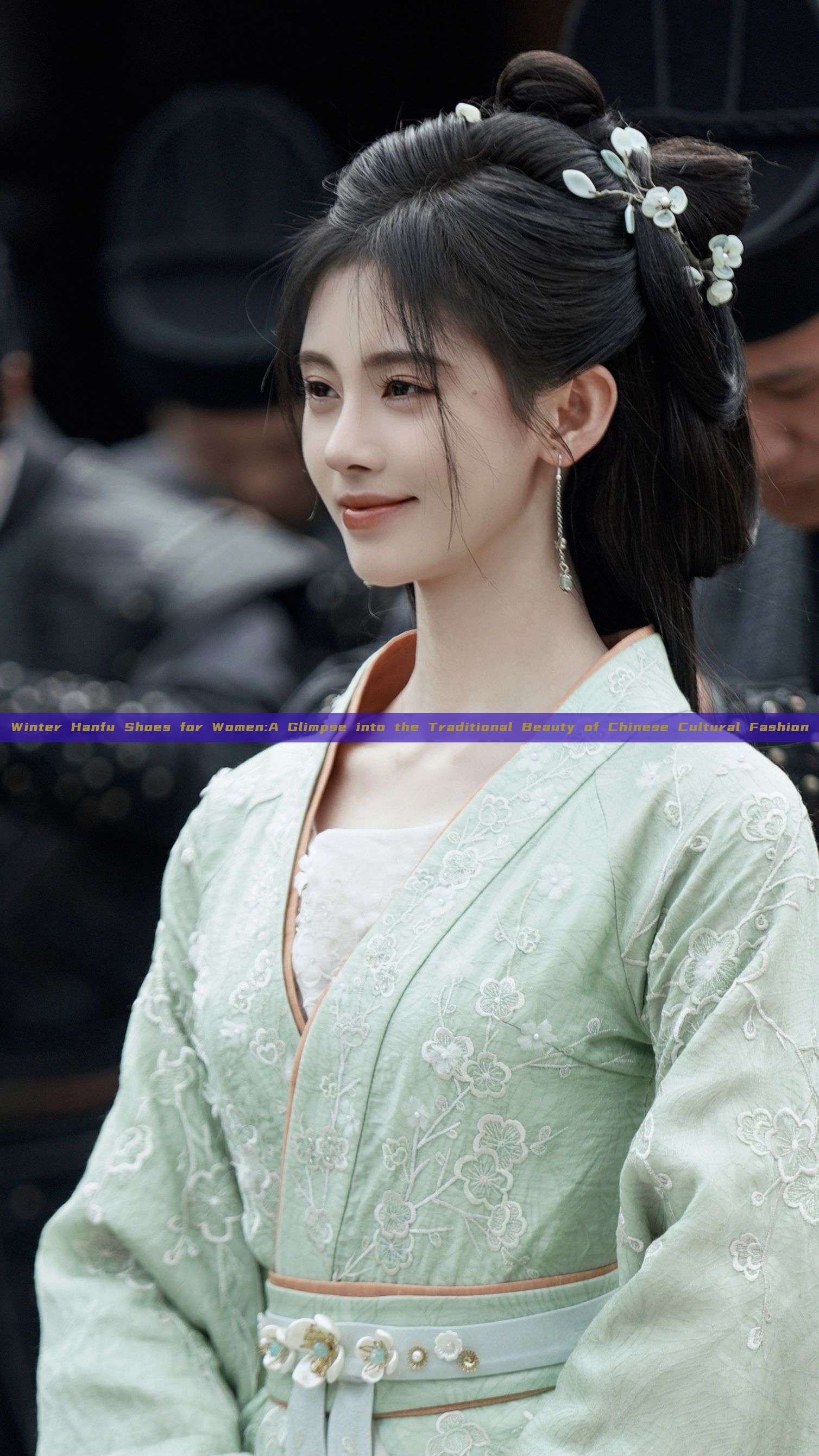 Winter Hanfu Shoes for Women:A Glimpse into the Traditional Beauty of Chinese Cultural Fashion Winter Hanfu Shoes for Women:A Glimpse into the Traditional Beauty of Chinese Cultural Fashion