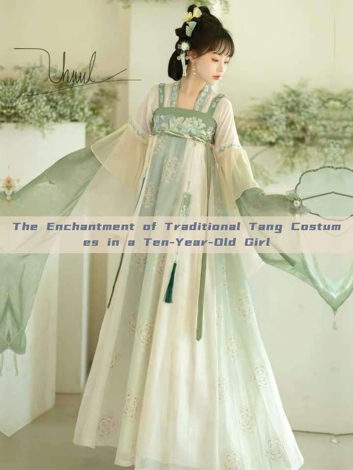 The Enchantment of Traditional Tang Costumes in a Ten-Year-Old Girl The Enchantment of Traditional Tang Costumes in a Ten-Year-Old Girl