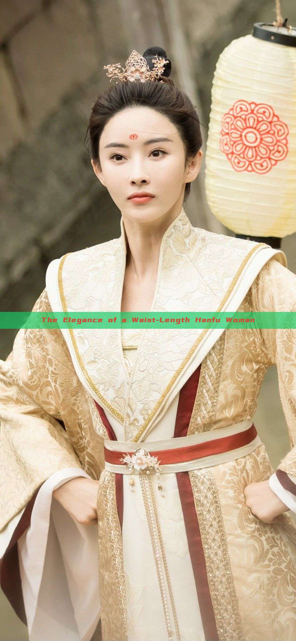 The Elegance of a Waist-Length Hanfu Woman