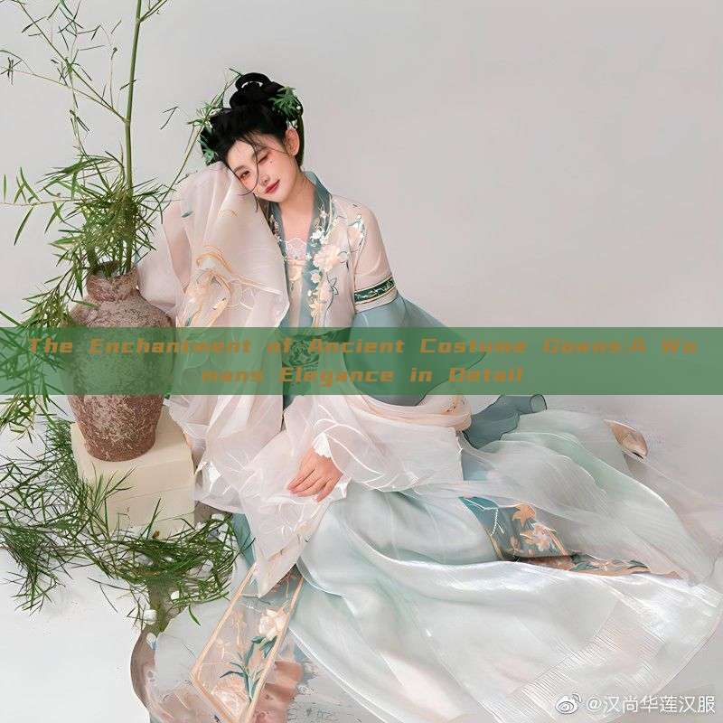 The Enchantment of Ancient Costume Gowns:A Womans Elegance in Detail The Enchantment of Ancient Costume Gowns:A Womans Elegance in Detail